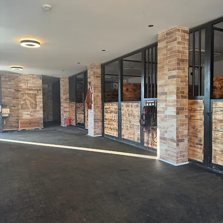 Zazitkovy Ranc Nevada *